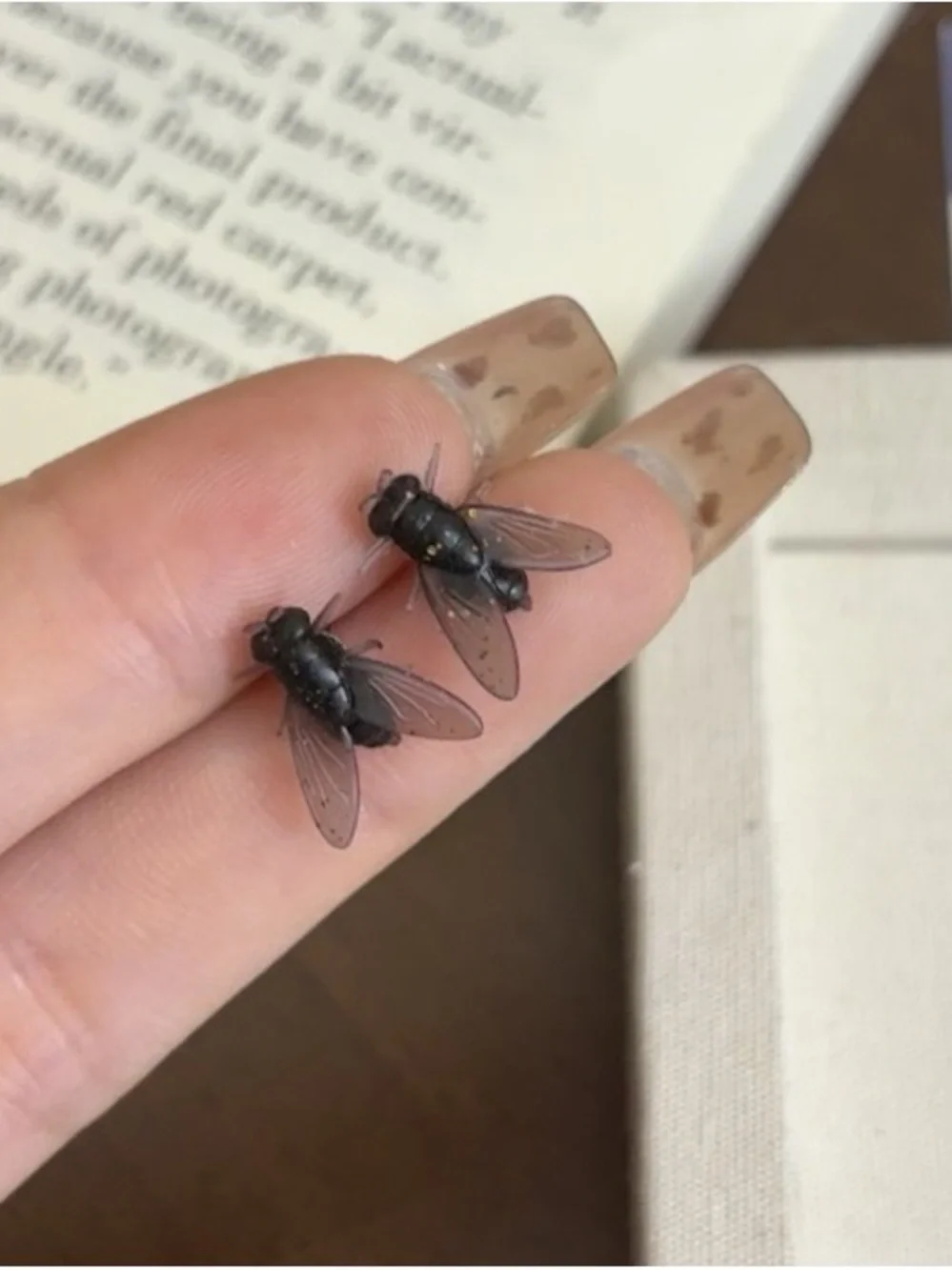 Black Fly Stud Earrings - Design by Korea
